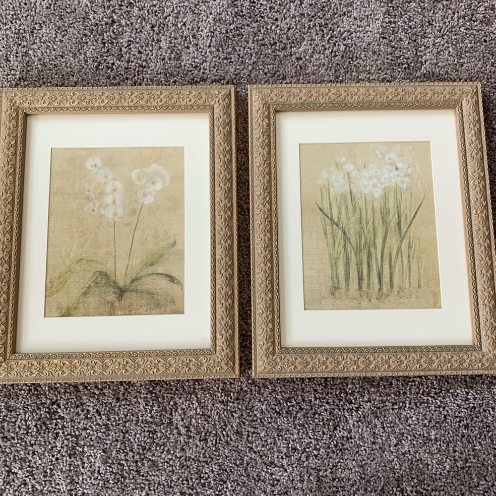 Set of two floral framed prints